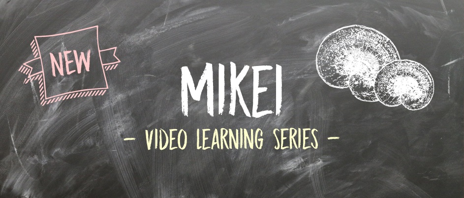 Slide - Mikei Learning Series
